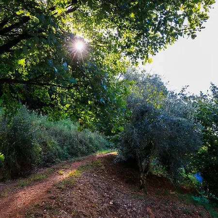 مزرعة للإقامة Terra Volonteri مونتيكاتيني تيرمي