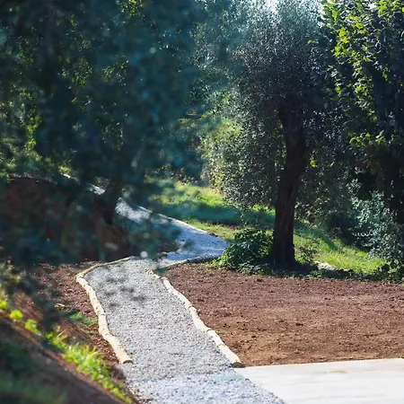 Terra Volonteri مزرعة للإقامة