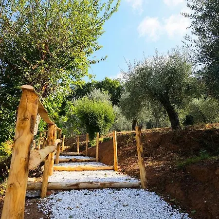 Terra Volonteri * مونتيكاتيني تيرمي