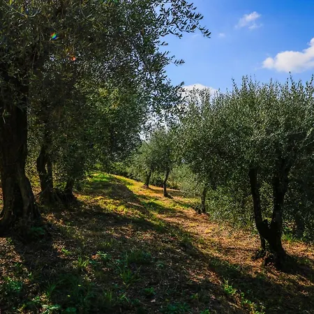 Terra Volonteri مزرعة للإقامة *