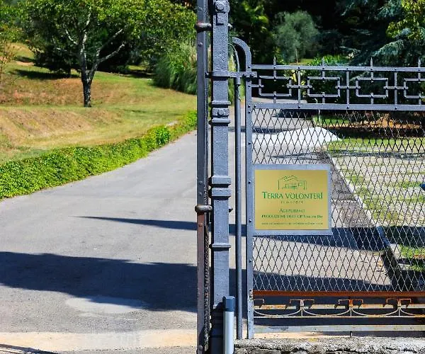 Terra Volonteri