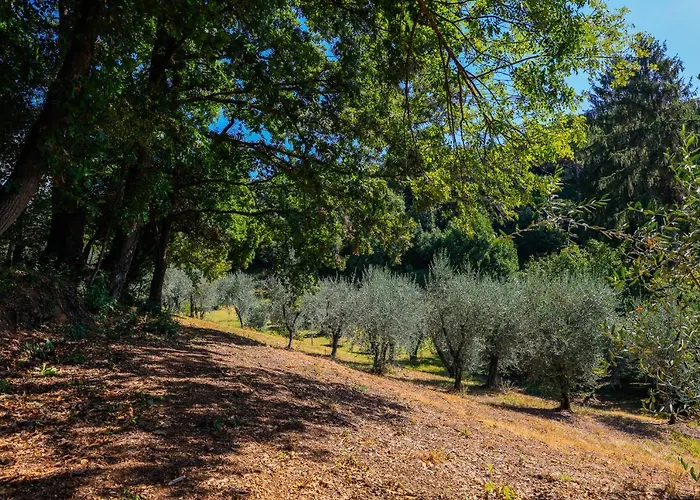 Terra Volonteri Montecatini Terme