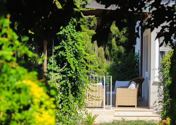 Terra Volonteri Feriegård Montecatini Terme