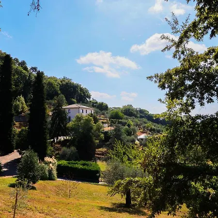Terra Volonteri * Montecatini Terme