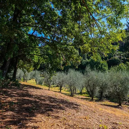Terra Volonteri Montecatini Terme