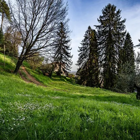 Terra Volonteri Alojamento de Turismo Rural *